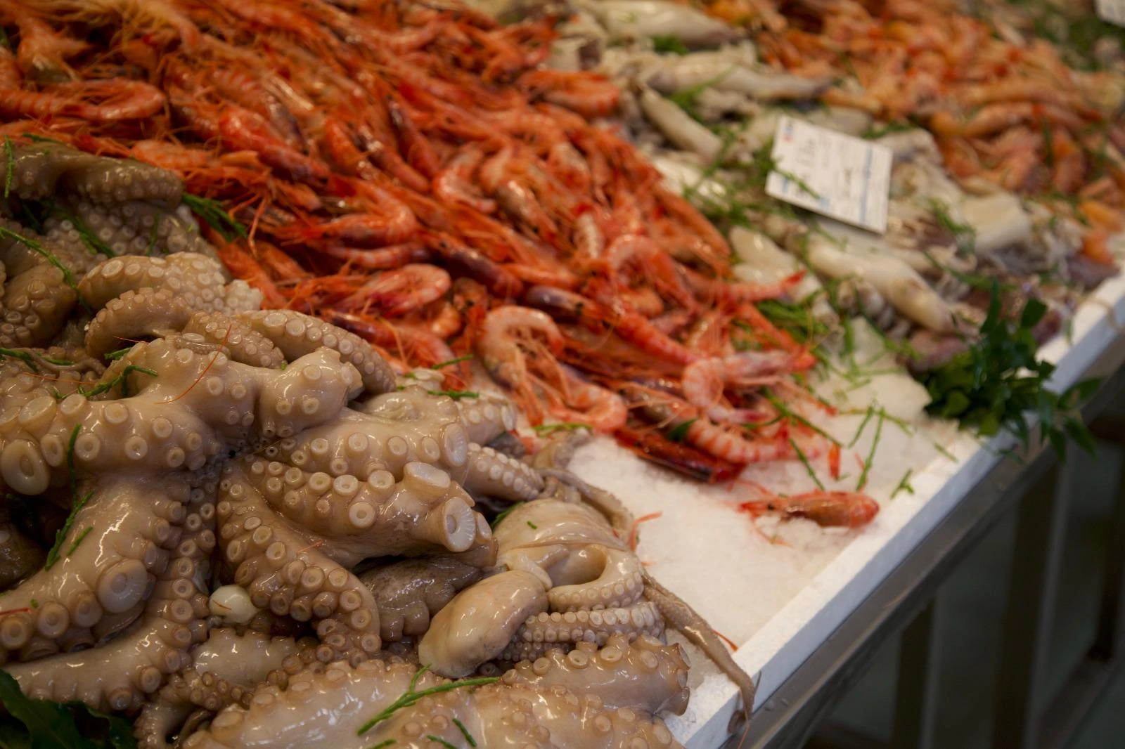 Molluschi e crostacei freschi selezionati a Milano