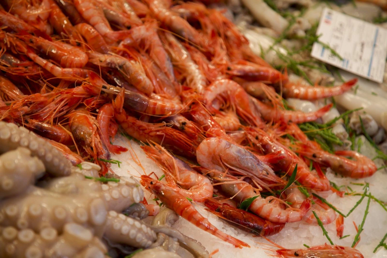 Pesce fresco di qualità selezionato da Mazara Fish a Milano
