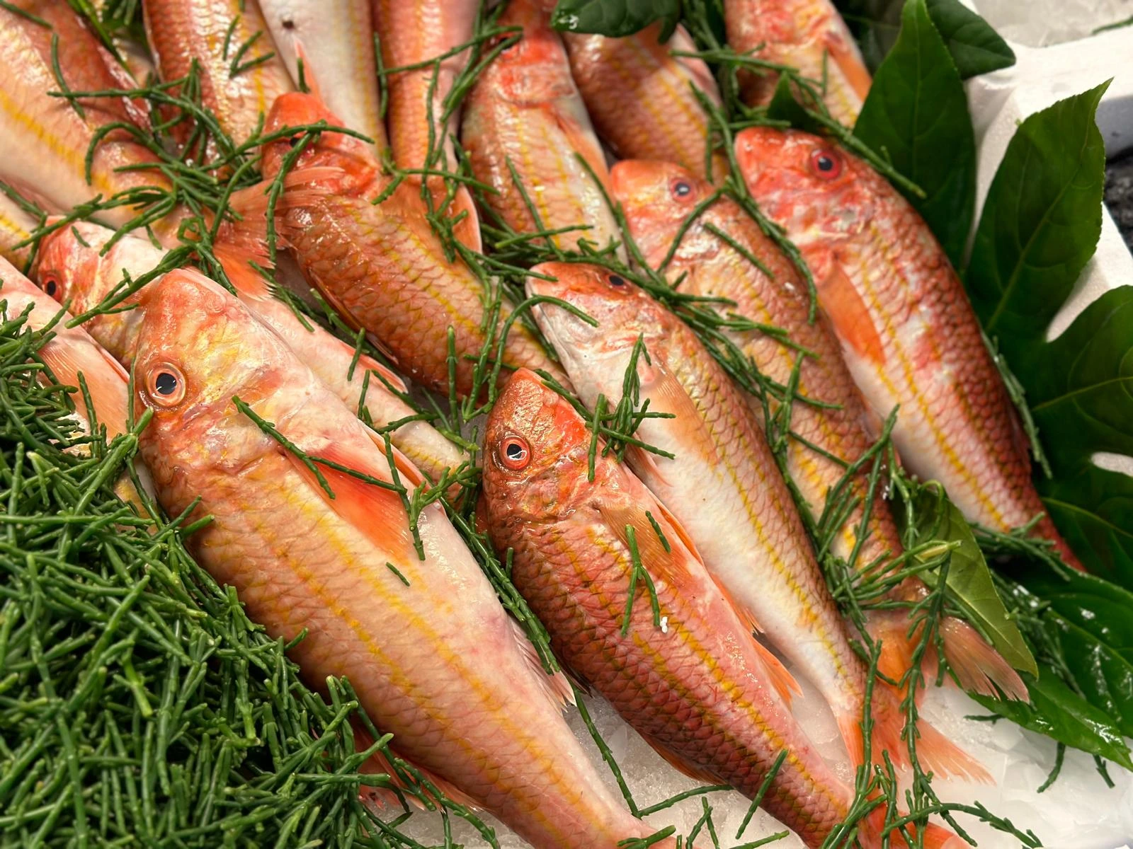 Pesce fresco mediterraneo al Mercato Ittico di Milano