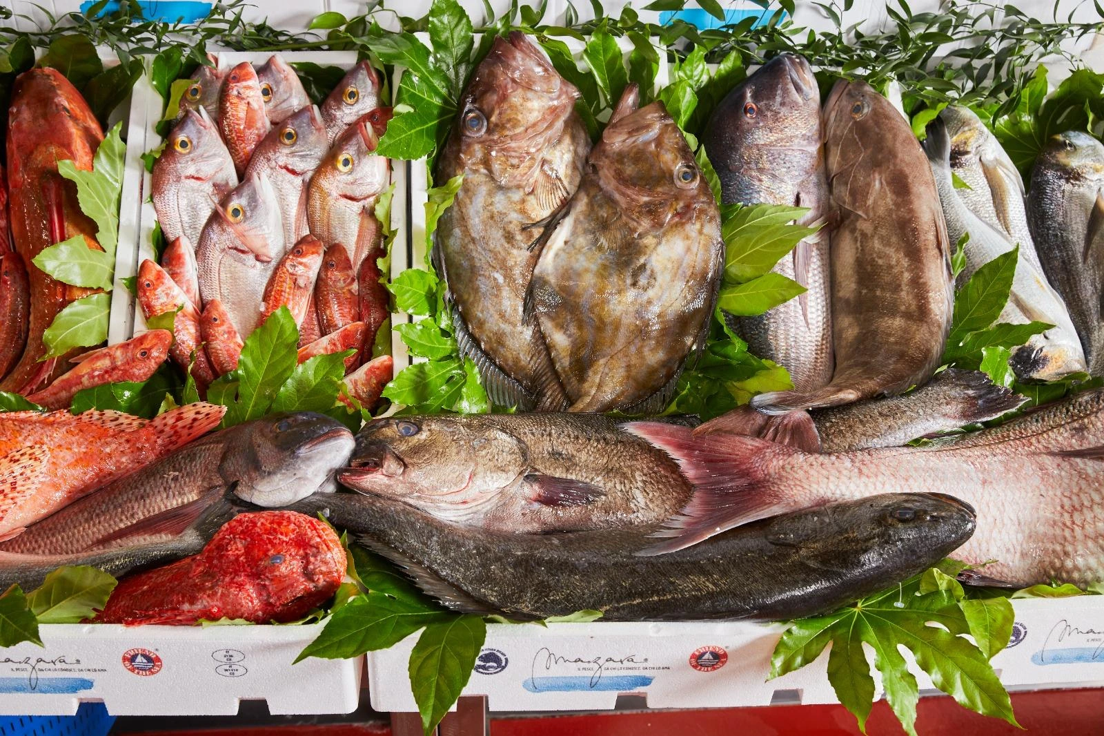 Pesce fresco selezionato da Mazara Fish a Milano