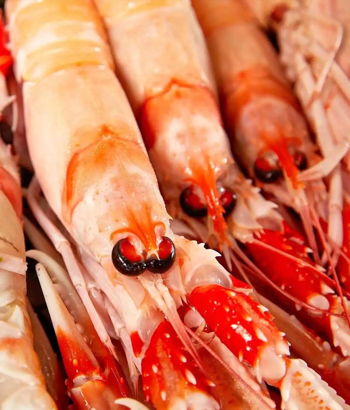 Scampi di Mazara selezionati da Mazara Fish