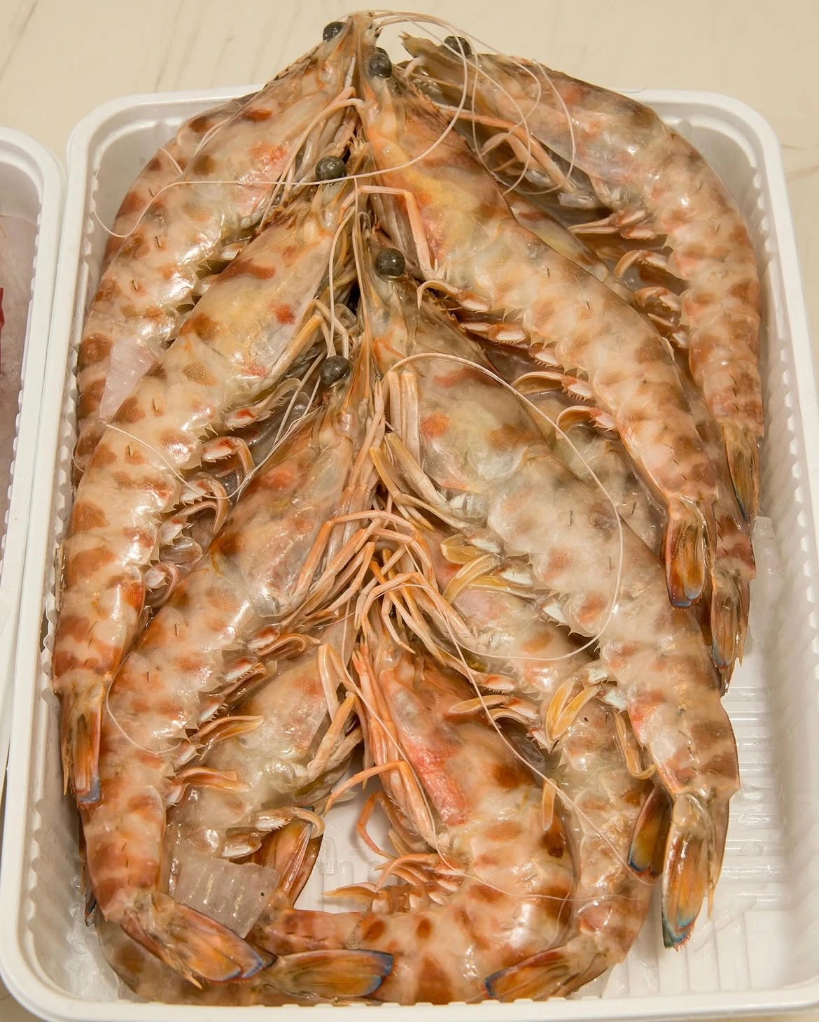 Mazzancolle mediterranee selezionate da Mazara Fish